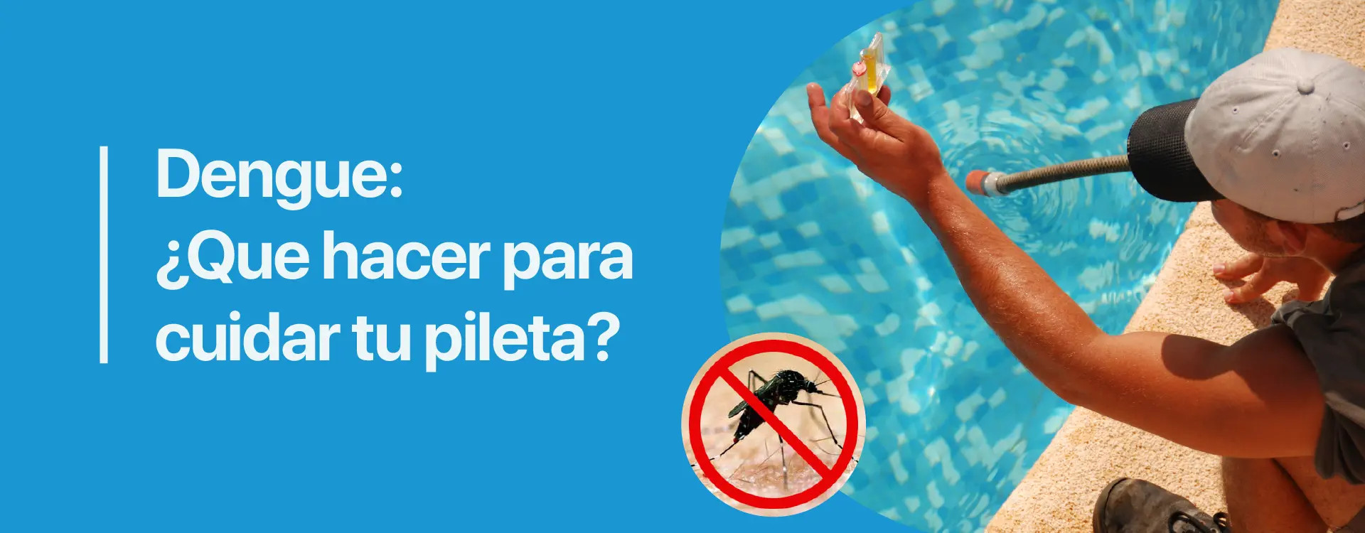 Piletas sin Dengue