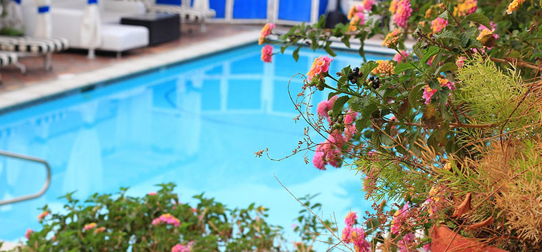 Piscinas ecológicas: cómo reducir el impacto ambiental sin perder confort