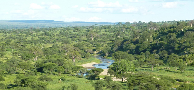La Piscina del Santuario Swala, Tanzania