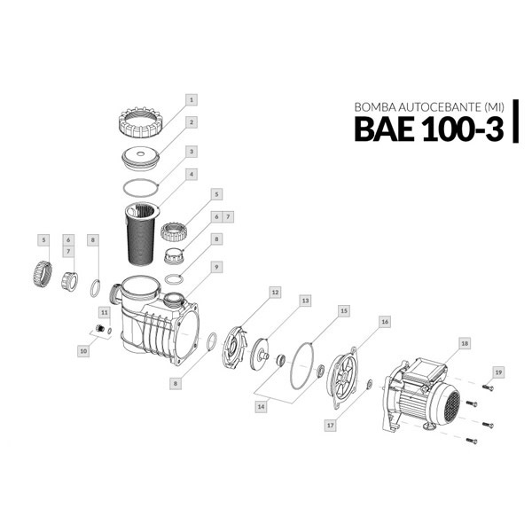 Bomba autocebante BAE 100-3 (MI)