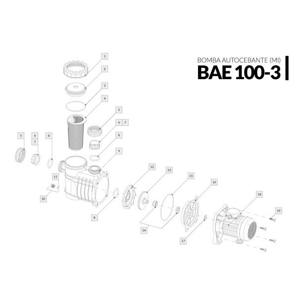 Bomba autocebante BAE 100-3