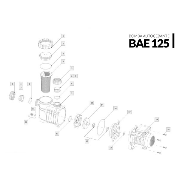 Bomba autocebante BAE 125